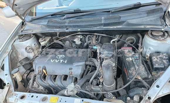 Tenga Tsaru Toyota Platz Sirivha Mota in Maputo in Maputo Tenga Tsaru Toyota Platz Sirivha Mota in Maputo in Maputo