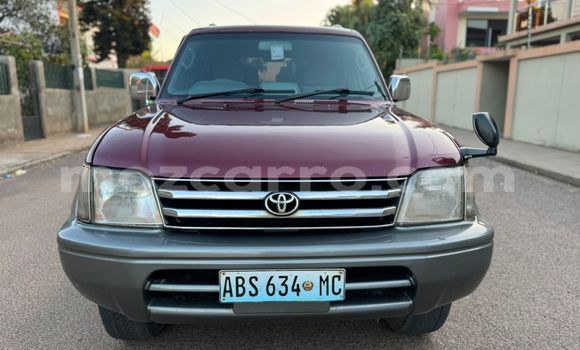Nunua Ilio tumika Toyota Prado Nyingine Gari ndani ya Maputo nchini Maputo Nunua Ilio tumika Toyota Prado Nyingine Gari ndani ya Maputo nchini Maputo