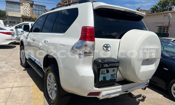Nunua Ilio tumika Toyota Land Cruiser Prado Nyeupe Gari ndani ya Maputo nchini Maputo Nunua Ilio tumika Toyota Land Cruiser Prado Nyeupe Gari ndani ya Maputo nchini Maputo