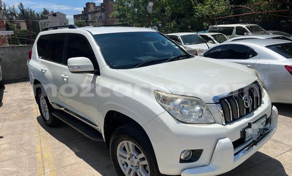 Nunua Ilio tumika Toyota Land Cruiser Prado Nyeupe Gari ndani ya Maputo nchini Maputo Nunua Ilio tumika Toyota Land Cruiser Prado Nyeupe Gari ndani ya Maputo nchini Maputo