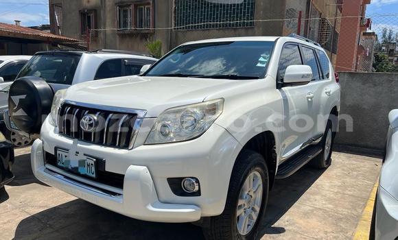 Nunua Ilio tumika Toyota Land Cruiser Prado Nyeupe Gari ndani ya Maputo nchini Maputo Nunua Ilio tumika Toyota Land Cruiser Prado Nyeupe Gari ndani ya Maputo nchini Maputo