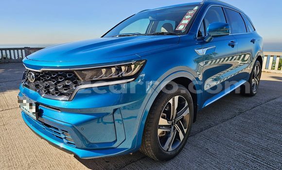 Comprar Novo Kia Sorento Azul Carro em Maputo em Maputo
