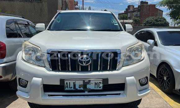 Comprar Usado Toyota Land Cruiser Prado Branco Carro em Maputo em Maputo