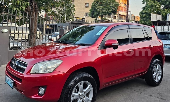 Comprar Usado Toyota RAV4 De outros Carro em Maputo em Maputo Comprar Usado Toyota RAV4 De outros Carro em Maputo em Maputo