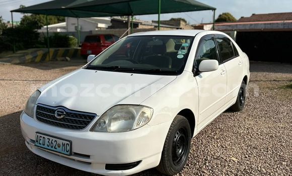Comprar Usado Toyota Corolla Branco Carro em Maputo em Maputo Comprar Usado Toyota Corolla Branco Carro em Maputo em Maputo