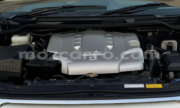 Comprar Novo Toyota Land Cruiser Prado Branco Carro em Maputo em Maputo Comprar Novo Toyota Land Cruiser Prado Branco Carro em Maputo em Maputo