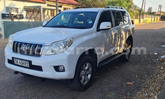 Buy Used Toyota Land Cruiser Prado White Car in Maputo in Maputo Buy Used Toyota Land Cruiser Prado White Car in Maputo in Maputo