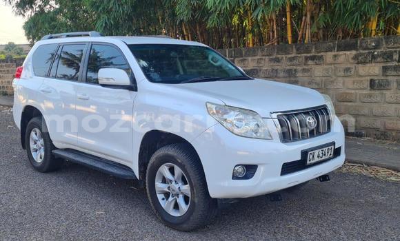 Buy Used Toyota Land Cruiser Prado White Car in Maputo in Maputo Buy Used Toyota Land Cruiser Prado White Car in Maputo in Maputo