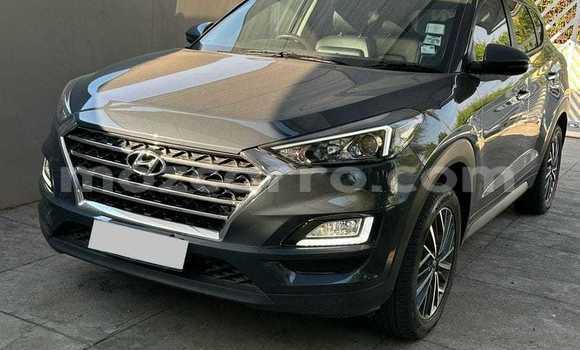 Buy Used Hyundai Tucson Blue Car in Maputo in Maputo Buy Used Hyundai Tucson Blue Car in Maputo in Maputo