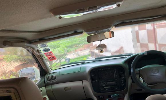 Tenga Tsaru Toyota Land Cruiser Chena Mota in Maputo in Maputo Tenga Tsaru Toyota Land Cruiser Chena Mota in Maputo in Maputo