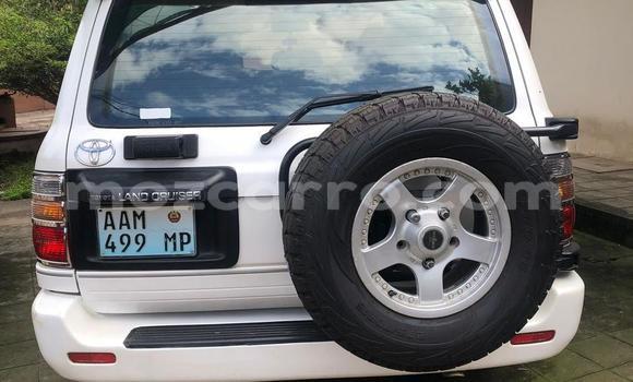 Tenga Tsaru Toyota Land Cruiser Chena Mota in Maputo in Maputo Tenga Tsaru Toyota Land Cruiser Chena Mota in Maputo in Maputo