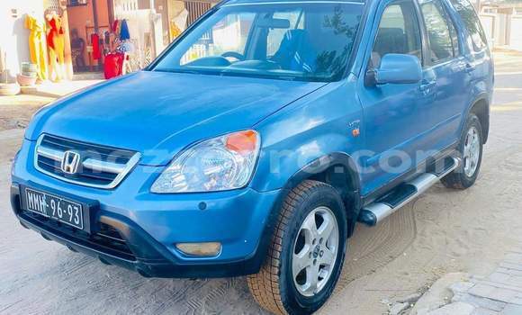 Buy Used Honda CR-V Blue Car in Maputo in Maputo Buy Used Honda CR-V Blue Car in Maputo in Maputo