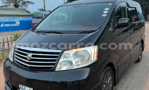 Tenga Tsaru Toyota Alphard Nhema Mota in Maputo in Maputo