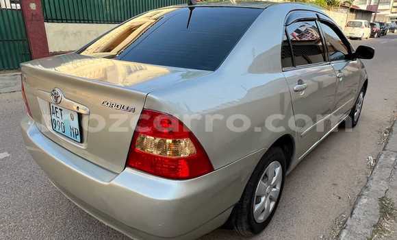 Buy Used Toyota Corolla Brown Car in Maputo in Maputo Buy Used Toyota Corolla Brown Car in Maputo in Maputo