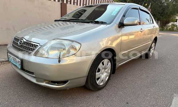 Buy Used Toyota Corolla Brown Car in Maputo in Maputo Buy Used Toyota Corolla Brown Car in Maputo in Maputo