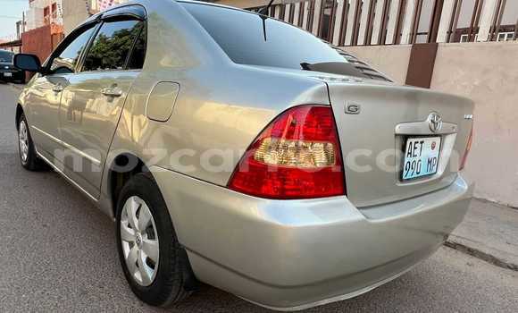 Buy Used Toyota Corolla Brown Car in Maputo in Maputo Buy Used Toyota Corolla Brown Car in Maputo in Maputo