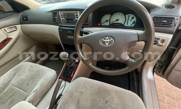 Buy Used Toyota Corolla Brown Car in Maputo in Maputo Buy Used Toyota Corolla Brown Car in Maputo in Maputo