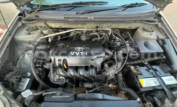 Buy Used Toyota Corolla Brown Car in Maputo in Maputo Buy Used Toyota Corolla Brown Car in Maputo in Maputo