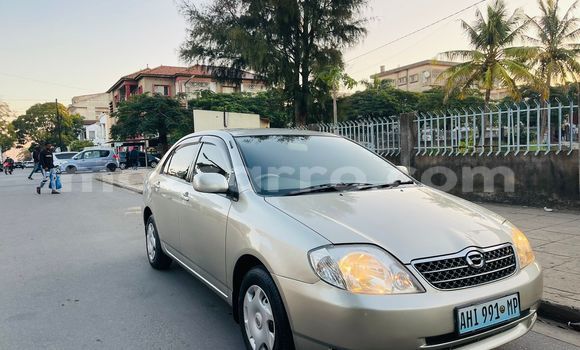 Nunua Ilio tumika Toyota Corolla Fedha Gari ndani ya Maputo nchini Maputo Nunua Ilio tumika Toyota Corolla Fedha Gari ndani ya Maputo nchini Maputo