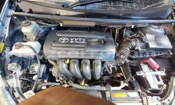 Tenga Tsaru Toyota Wish Zvimwe Mota in Maputo in Maputo Tenga Tsaru Toyota Wish Zvimwe Mota in Maputo in Maputo