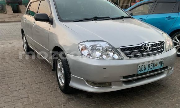 Nunua Ilio tumika Toyota Runx Fedha Gari ndani ya Maputo nchini Maputo Nunua Ilio tumika Toyota Runx Fedha Gari ndani ya Maputo nchini Maputo