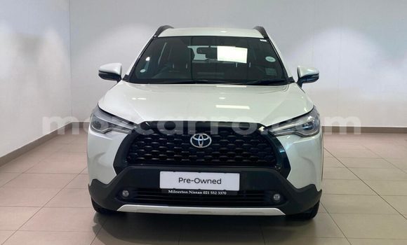 Tenga Tsaru Toyota Corolla Cross Chena Mota in Balama in Cabo Delgado Tenga Tsaru Toyota Corolla Cross Chena Mota in Balama in Cabo Delgado