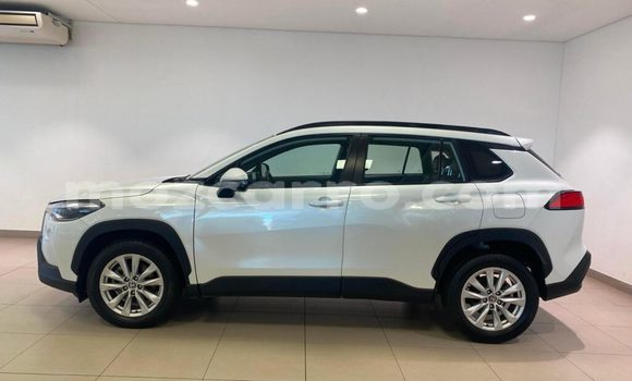 Tenga Tsaru Toyota Corolla Cross Chena Mota in Balama in Cabo Delgado Tenga Tsaru Toyota Corolla Cross Chena Mota in Balama in Cabo Delgado