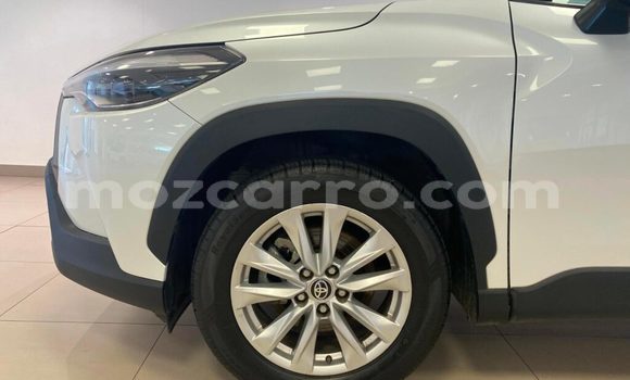 Tenga Tsaru Toyota Corolla Cross Chena Mota in Balama in Cabo Delgado Tenga Tsaru Toyota Corolla Cross Chena Mota in Balama in Cabo Delgado