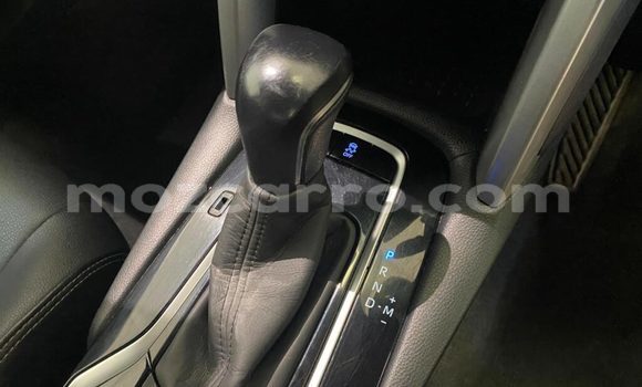 Tenga Tsaru Toyota Corolla Cross Chena Mota in Balama in Cabo Delgado Tenga Tsaru Toyota Corolla Cross Chena Mota in Balama in Cabo Delgado