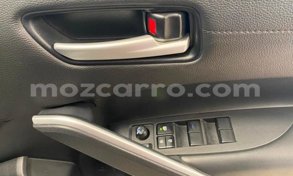 Tenga Tsaru Toyota Corolla Cross Chena Mota in Balama in Cabo Delgado Tenga Tsaru Toyota Corolla Cross Chena Mota in Balama in Cabo Delgado