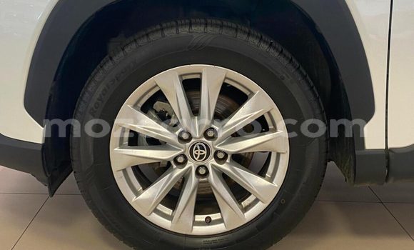 Tenga Tsaru Toyota Corolla Cross Chena Mota in Balama in Cabo Delgado Tenga Tsaru Toyota Corolla Cross Chena Mota in Balama in Cabo Delgado