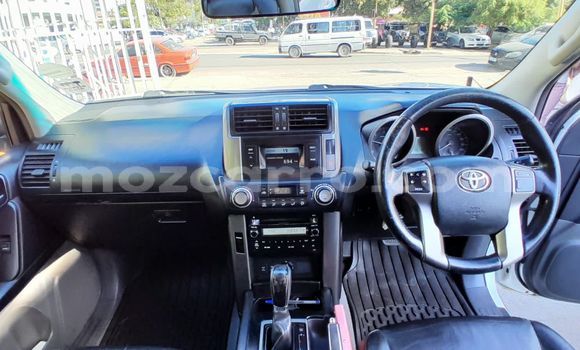 Tenga Tsaru Toyota Land Cruiser Prado Chena Mota in Maputo in Maputo Tenga Tsaru Toyota Land Cruiser Prado Chena Mota in Maputo in Maputo
