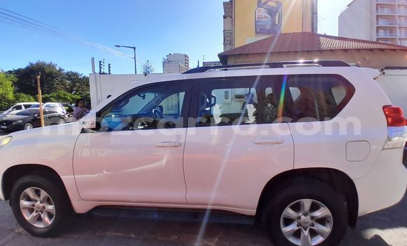 Tenga Tsaru Toyota Land Cruiser Prado Chena Mota in Maputo in Maputo Tenga Tsaru Toyota Land Cruiser Prado Chena Mota in Maputo in Maputo