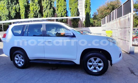 Tenga Tsaru Toyota Land Cruiser Prado Chena Mota in Maputo in Maputo Tenga Tsaru Toyota Land Cruiser Prado Chena Mota in Maputo in Maputo
