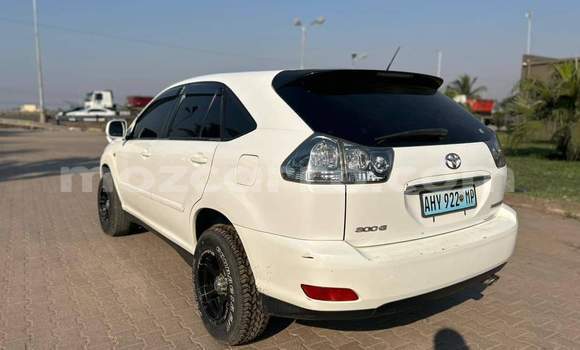 Tenga Tsaru Toyota Harrier Chena Mota in Maputo in Maputo Tenga Tsaru Toyota Harrier Chena Mota in Maputo in Maputo