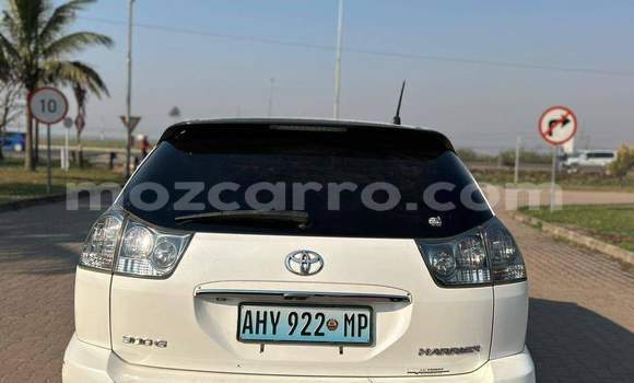 Tenga Tsaru Toyota Harrier Chena Mota in Maputo in Maputo Tenga Tsaru Toyota Harrier Chena Mota in Maputo in Maputo