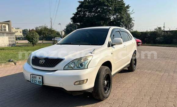 Tenga Tsaru Toyota Harrier Chena Mota in Maputo in Maputo Tenga Tsaru Toyota Harrier Chena Mota in Maputo in Maputo