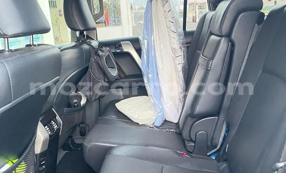 Tenga Tsaru Toyota Land Cruiser Prado Chena Mota in Maputo in Maputo Tenga Tsaru Toyota Land Cruiser Prado Chena Mota in Maputo in Maputo