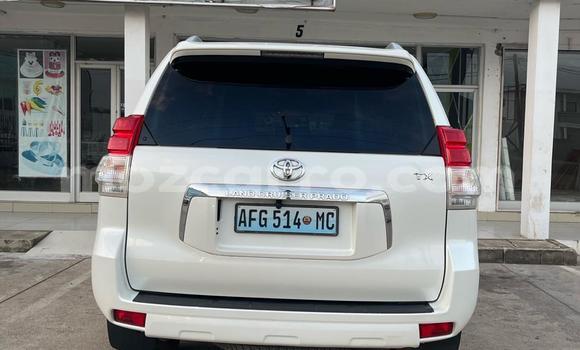 Tenga Tsaru Toyota Land Cruiser Prado Chena Mota in Maputo in Maputo Tenga Tsaru Toyota Land Cruiser Prado Chena Mota in Maputo in Maputo