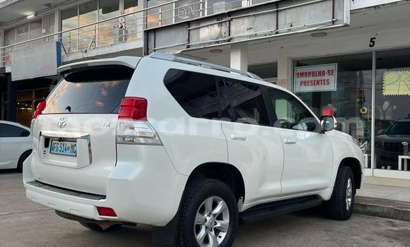 Tenga Tsaru Toyota Land Cruiser Prado Chena Mota in Maputo in Maputo Tenga Tsaru Toyota Land Cruiser Prado Chena Mota in Maputo in Maputo