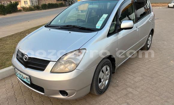 Buy Used Toyota Spacio Silver Car in Maputo in Maputo Buy Used Toyota Spacio Silver Car in Maputo in Maputo