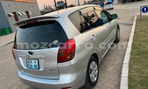 Buy Used Toyota Spacio Silver Car in Maputo in Maputo Buy Used Toyota Spacio Silver Car in Maputo in Maputo