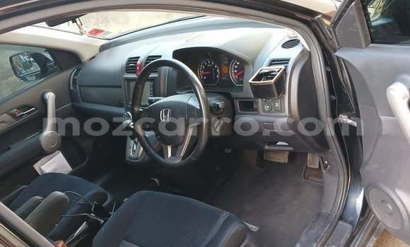 Buy New Honda CR-V Black Car in Maputo in Maputo Buy New Honda CR-V Black Car in Maputo in Maputo