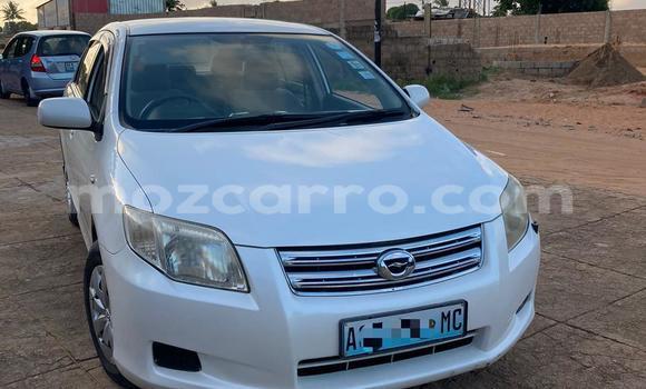 Buy Used Toyota Axio White Car in Maputo in Maputo