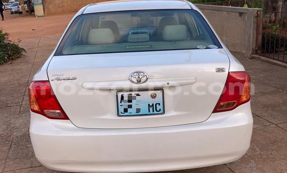 Nunua Ilio tumika Toyota Axio Nyeupe Gari ndani ya Maputo nchini Maputo Nunua Ilio tumika Toyota Axio Nyeupe Gari ndani ya Maputo nchini Maputo