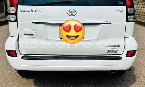 Buy Used Toyota Land Cruiser Prado White Car in Maputo in Maputo Buy Used Toyota Land Cruiser Prado White Car in Maputo in Maputo