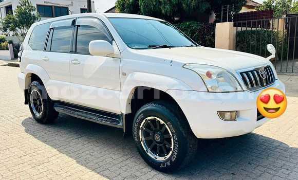 Buy Used Toyota Land Cruiser Prado White Car in Maputo in Maputo Buy Used Toyota Land Cruiser Prado White Car in Maputo in Maputo