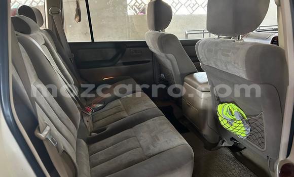 Tenga Tsaru Toyota Land Cruiser Chena Mota in Maputo in Maputo Tenga Tsaru Toyota Land Cruiser Chena Mota in Maputo in Maputo