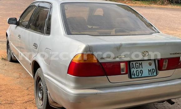 Comprar Usado Toyota Corolla Prata Carro em Maputo em Maputo Comprar Usado Toyota Corolla Prata Carro em Maputo em Maputo