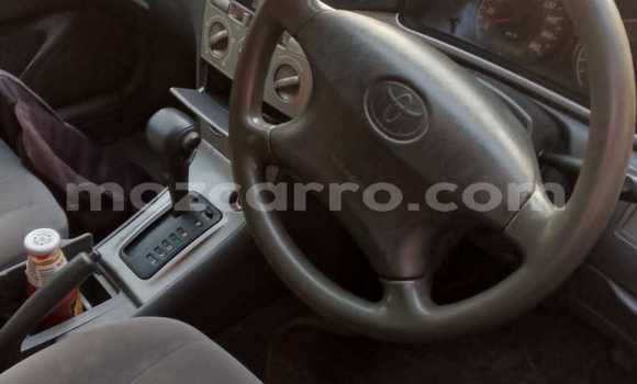 Tenga Tsaru Toyota Corolla Sirivha Mota in Maputo in Maputo Tenga Tsaru Toyota Corolla Sirivha Mota in Maputo in Maputo
